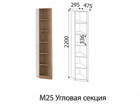 М25 Угловая секция в Тобольске - tobolsk.magazinmebel.ru | фото